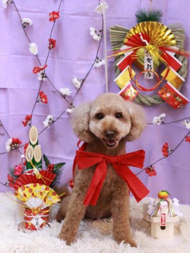 20230115モモちゃん